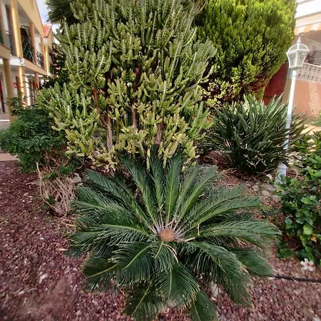 Soleil Altamar